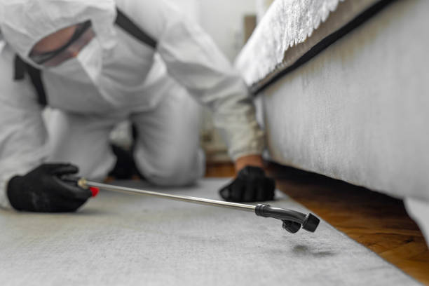 Professional Ant Control technician working in Wharton, TX
