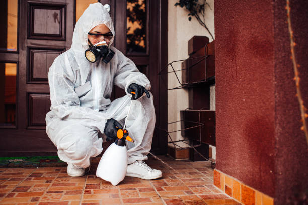 Reliable Ant Control contractor in Wharton, TX by Show Me Pest Control